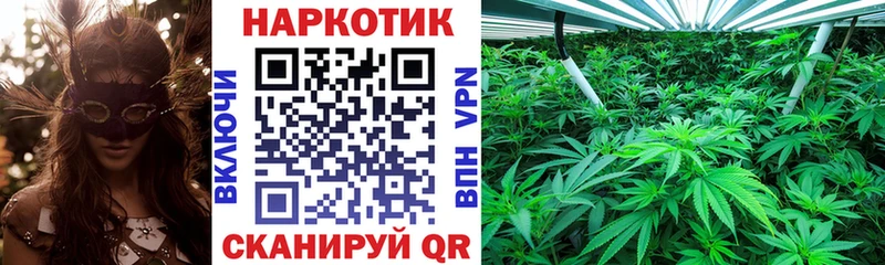 Где можно купить наркотики Минусинск Бошки Шишки  КОКАИН  A-PVP  Меф мяу мяу  Гашиш 