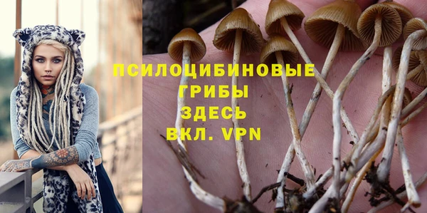 тгк Осинники