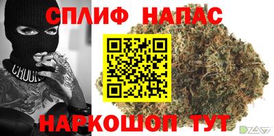 сатива Абакан