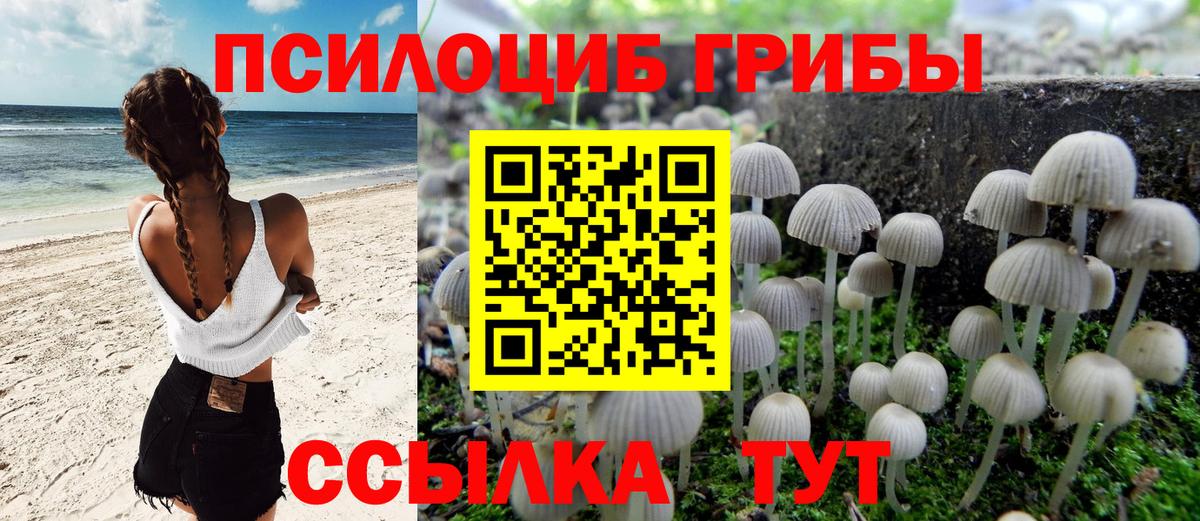 Псилоцибиновые грибы ЛСД Минусинск