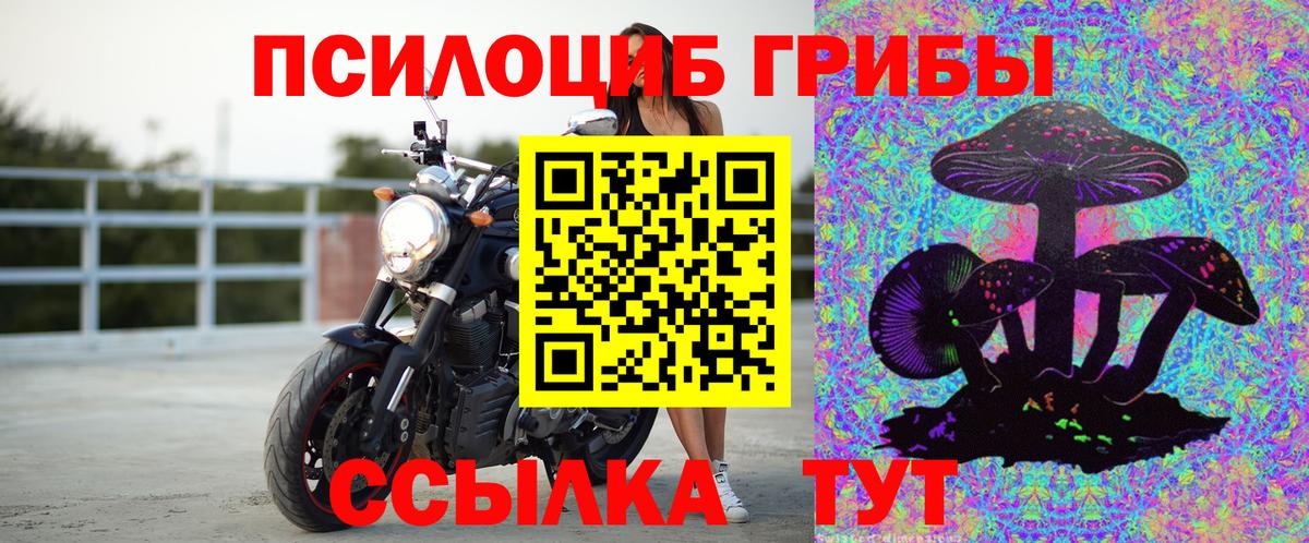 Галлюциногенные грибы мицелий  наркошоп  Псилоцибиновые грибы GOLDEN TEACHER  Минусинск  Вход с VPN 
